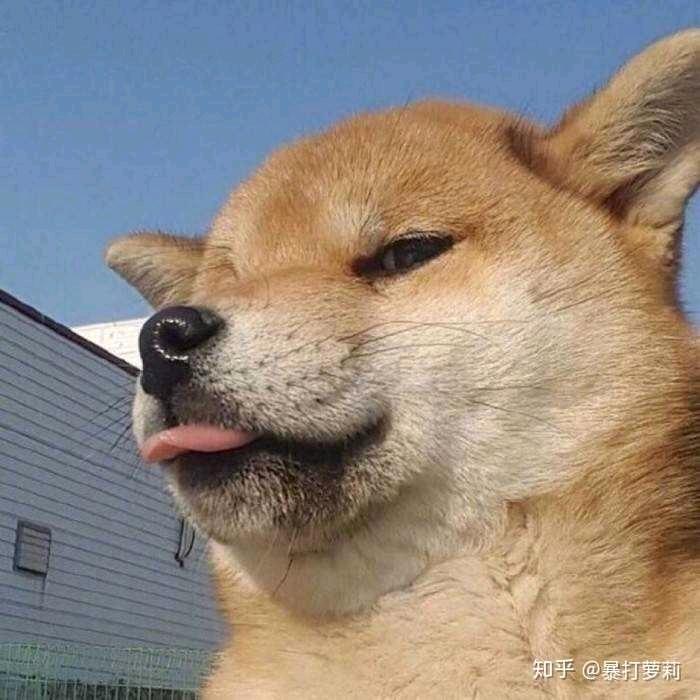 我的初吻给了烟