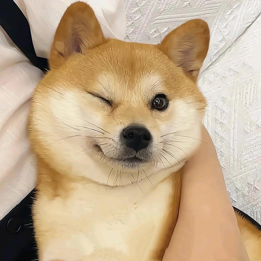 猛亲一口老婆☺