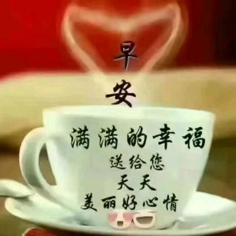 太阳花·
