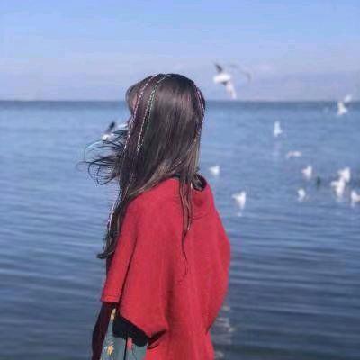 我是风儿你是沙