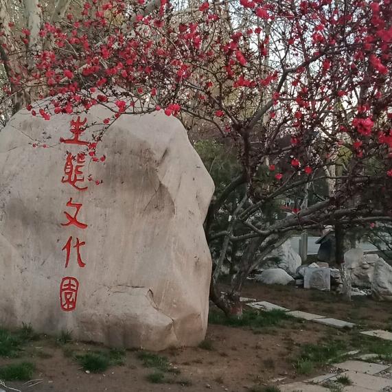 泥土