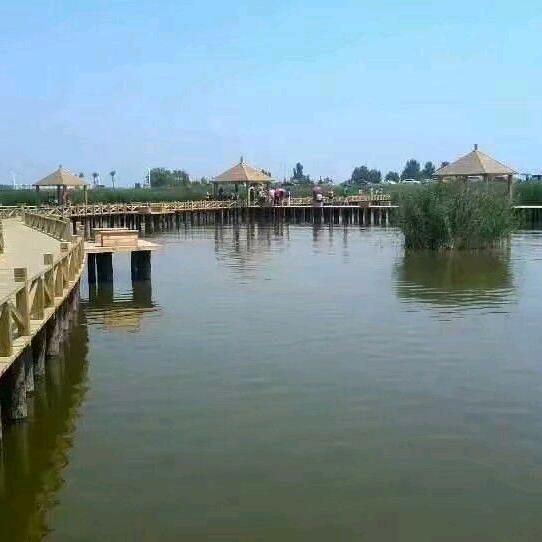 桑榆非晚幸福美满