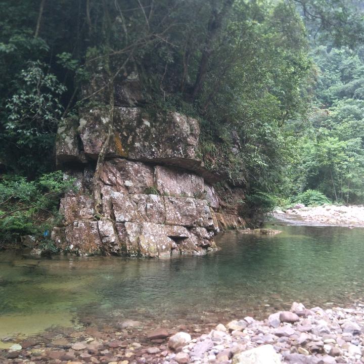 六弟
