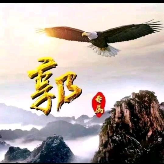 漂泊的船