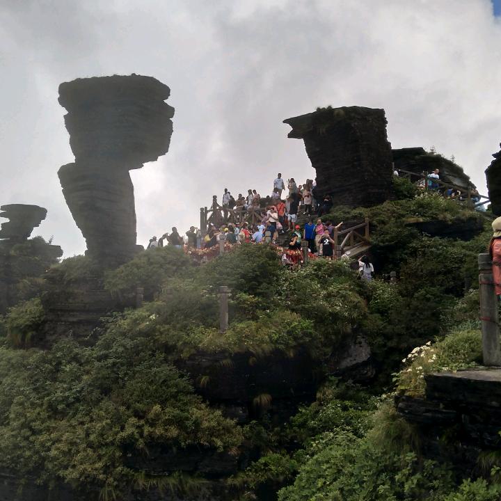 ，，潇洒走一回。