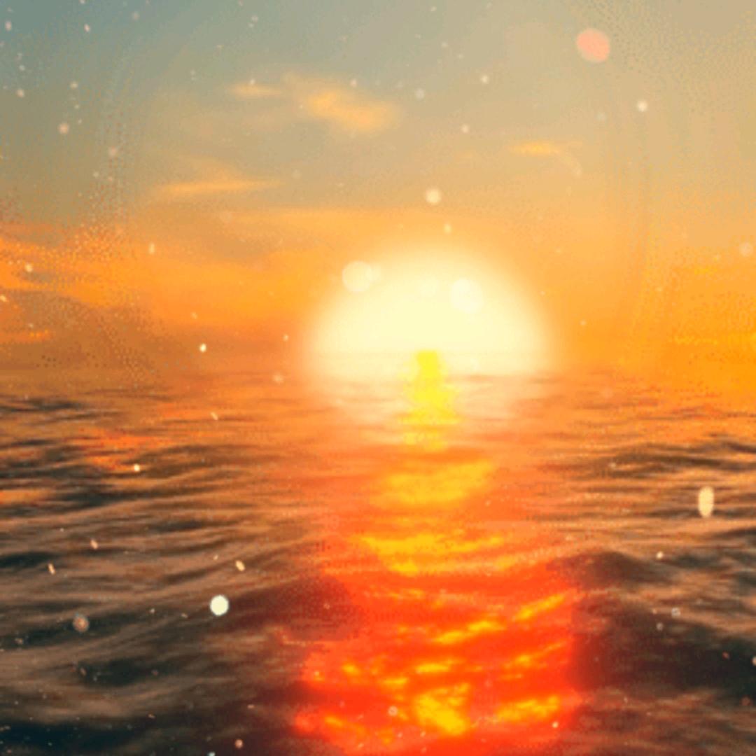 沧海