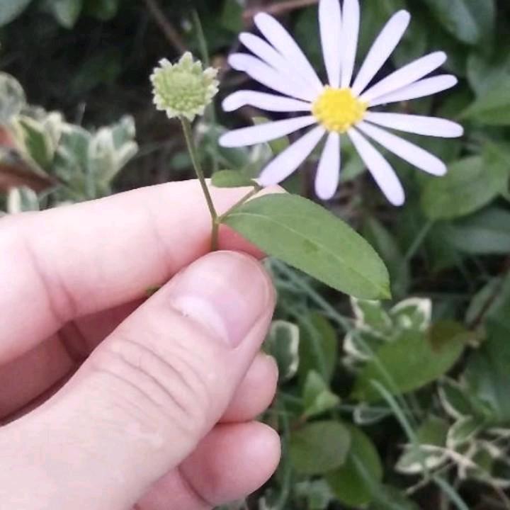 🦋ꦿ໊余生᭄🕊随心᭄ꦿᩚ٭