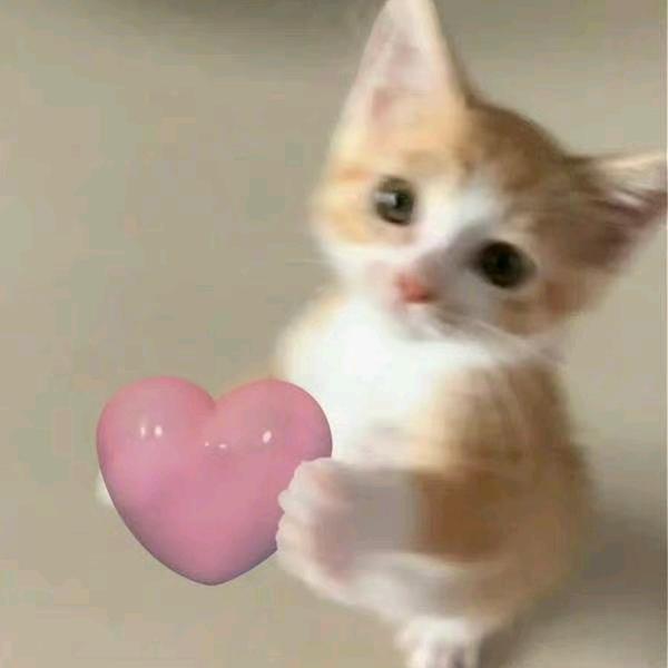 0illo