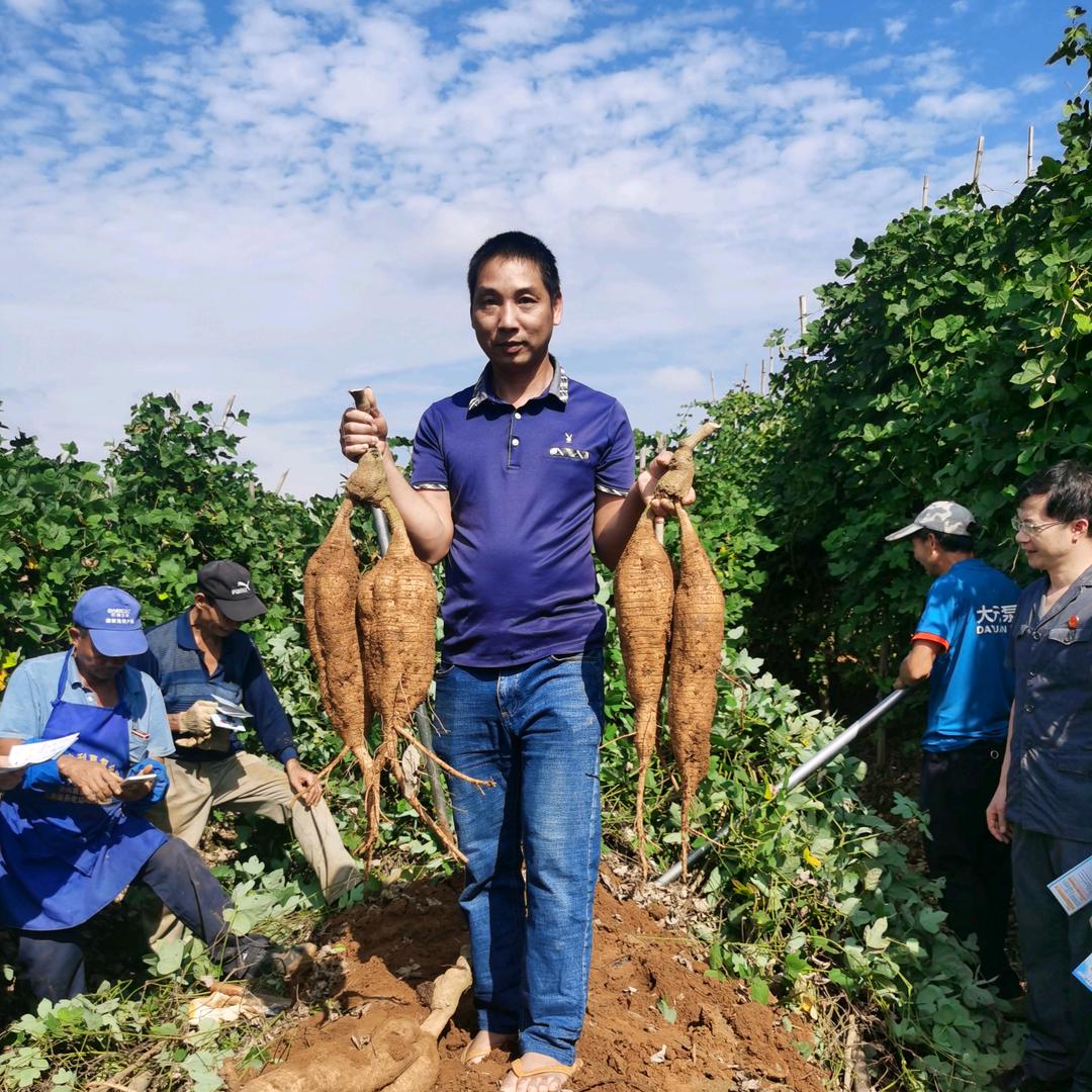 广西神岭葛业有限公司