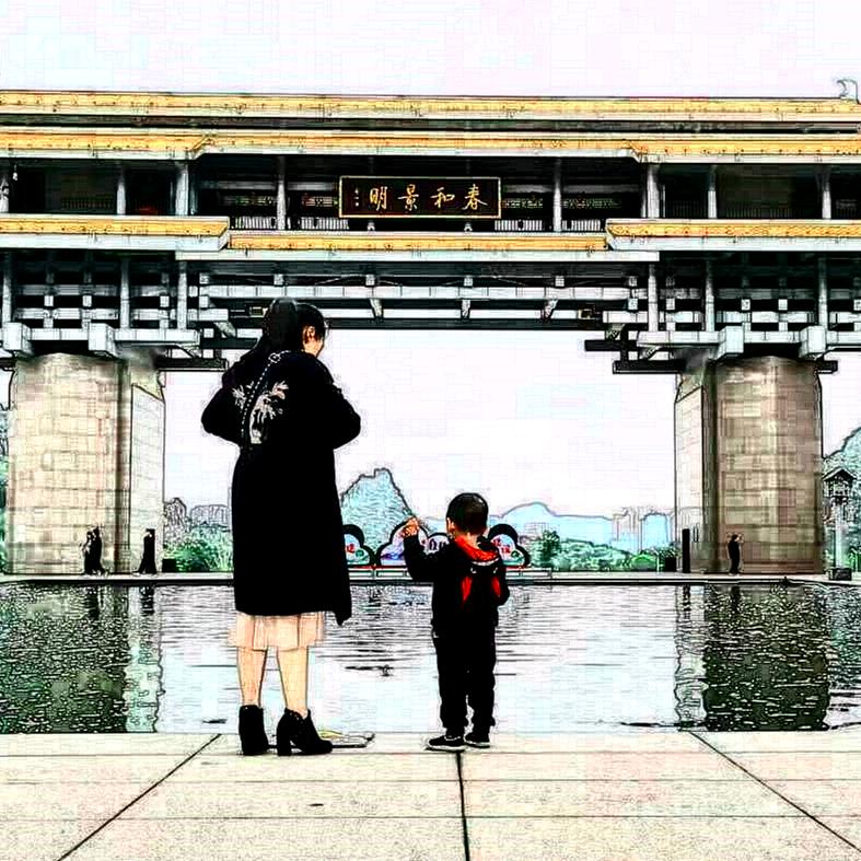 宝宝看车车