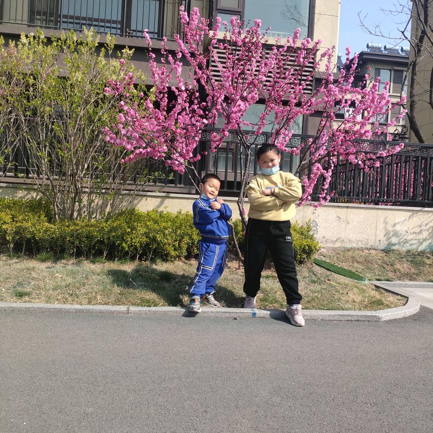 哈喽