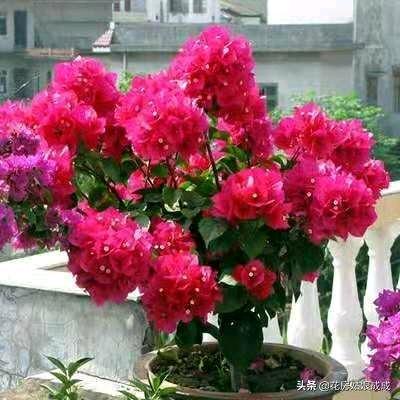 家和万事兴❤️