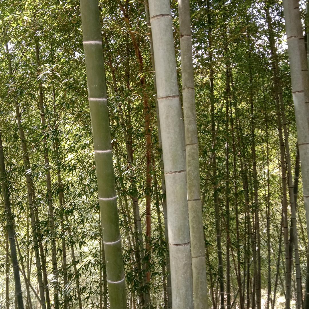 用户1600520老农民