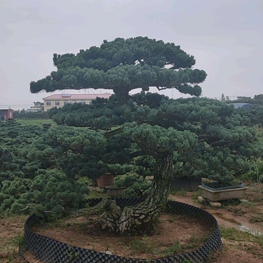 文泽家庭农场