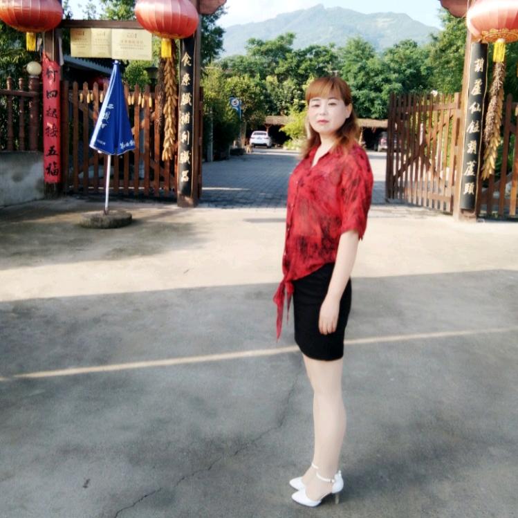 蔷薇花开