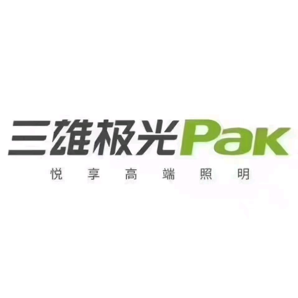 三雄极光照明(南华店）