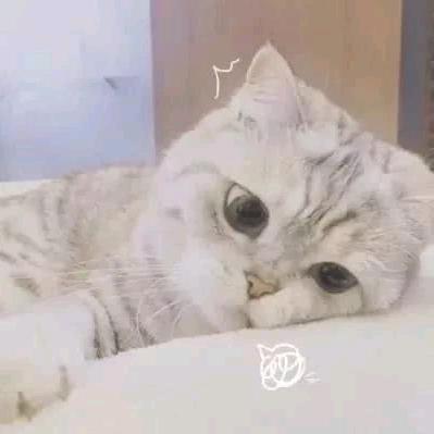 洛铭