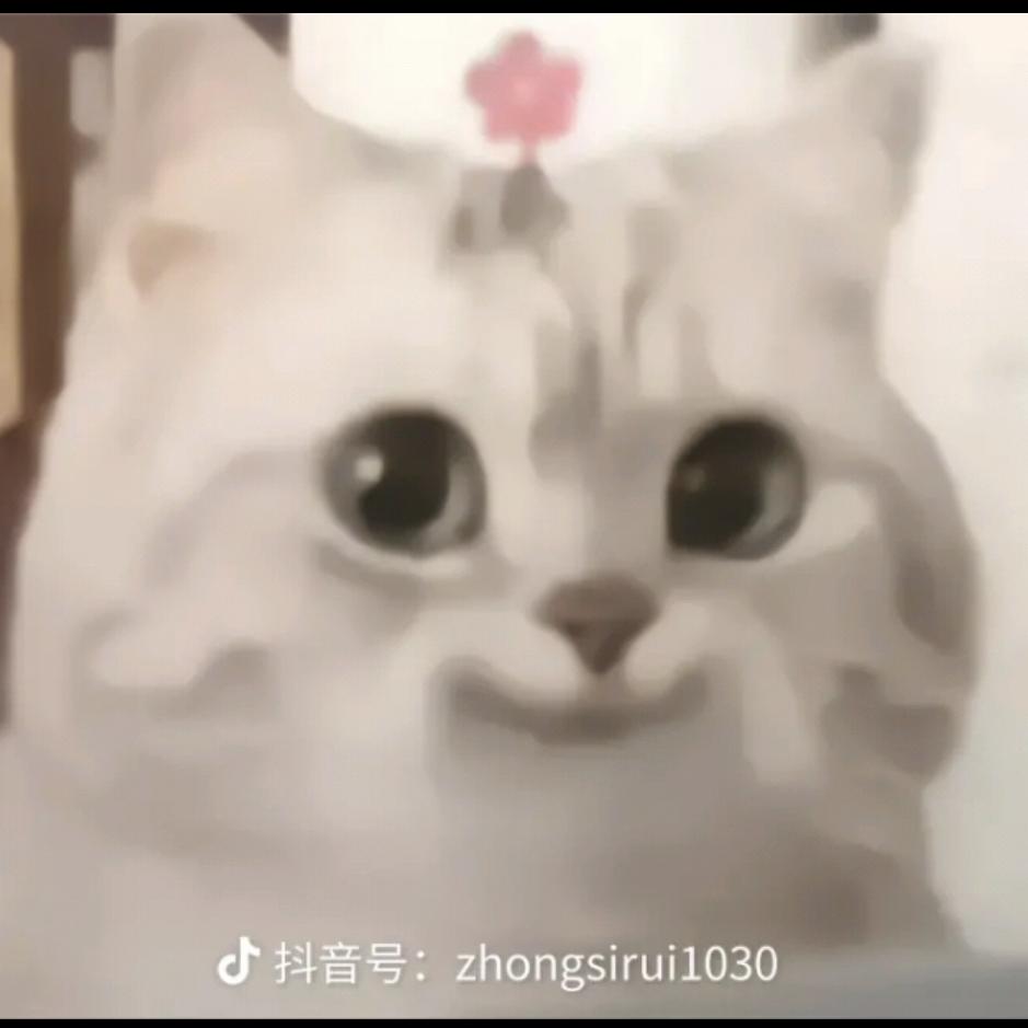 杨崽崽