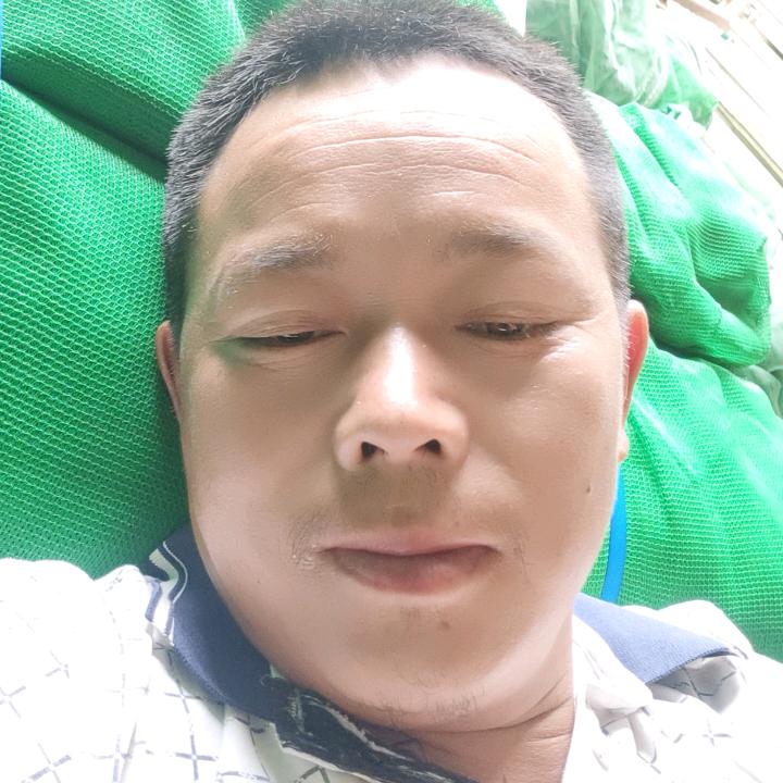 老司机