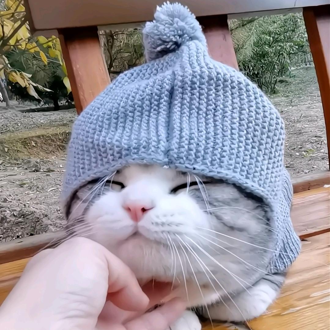 家有小老虎