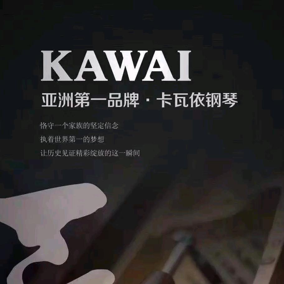 德艺琴行乐器购物仓储