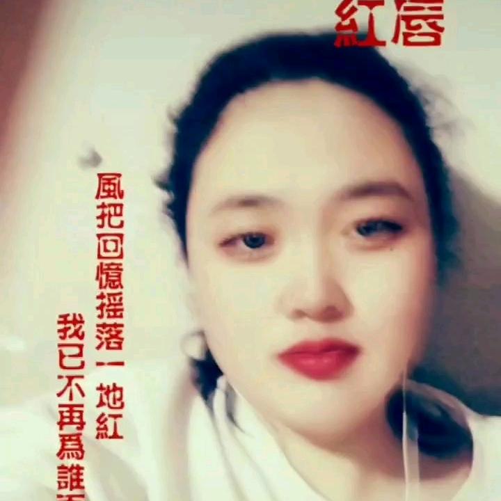 顾雨南歌