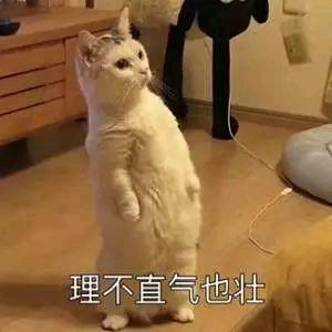 淹死的鱼