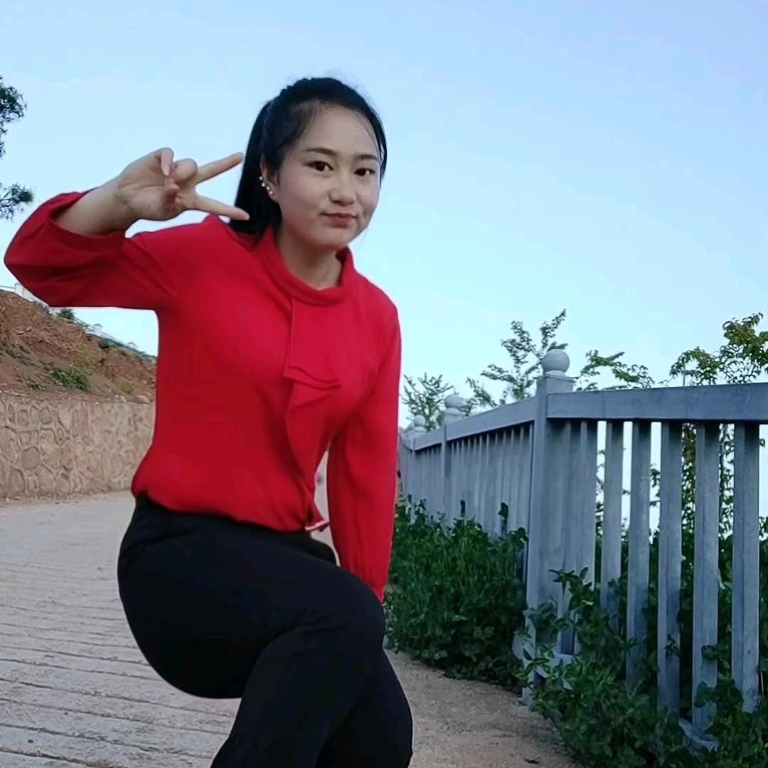 云南毛燕子