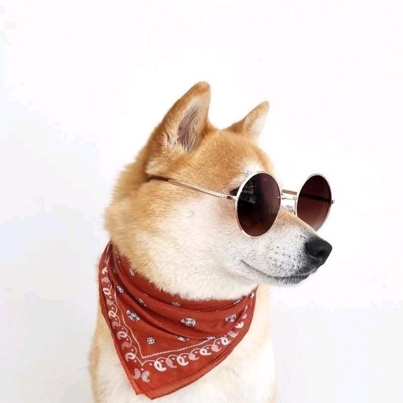 海    洋       🐋