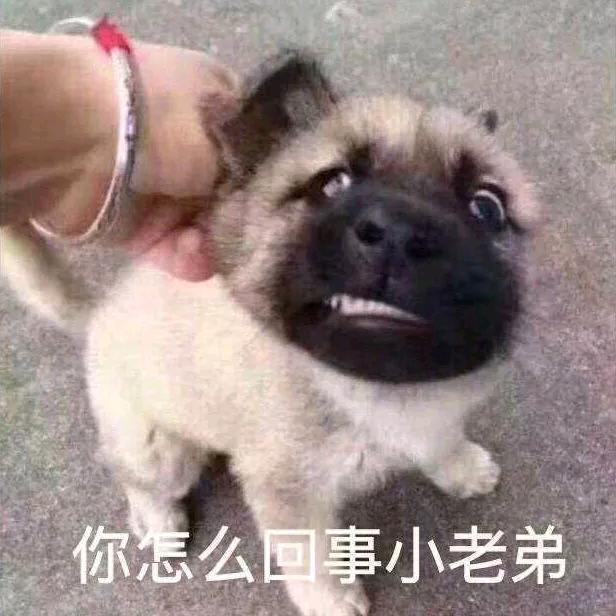 Sun志军