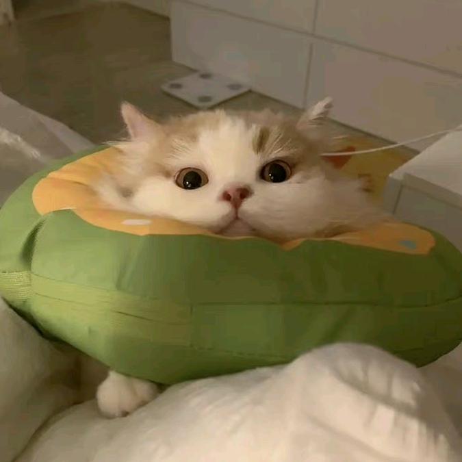 临溪而渔