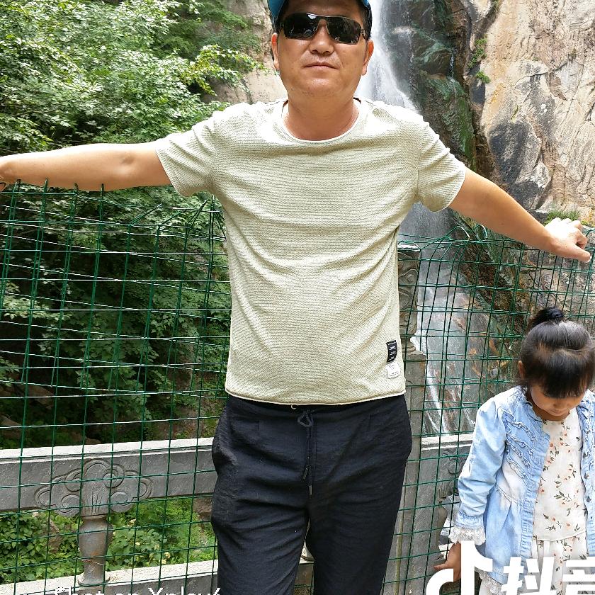 专业清树园修剪绿化树聚大财