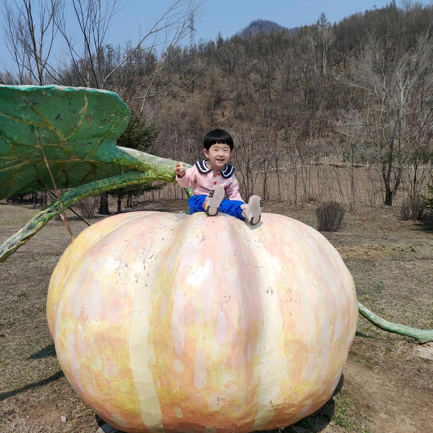 心随我苑