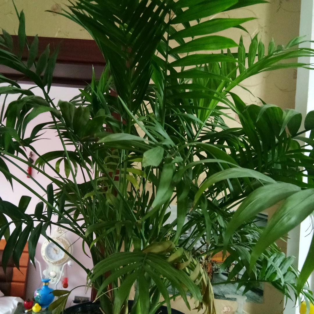相约你我