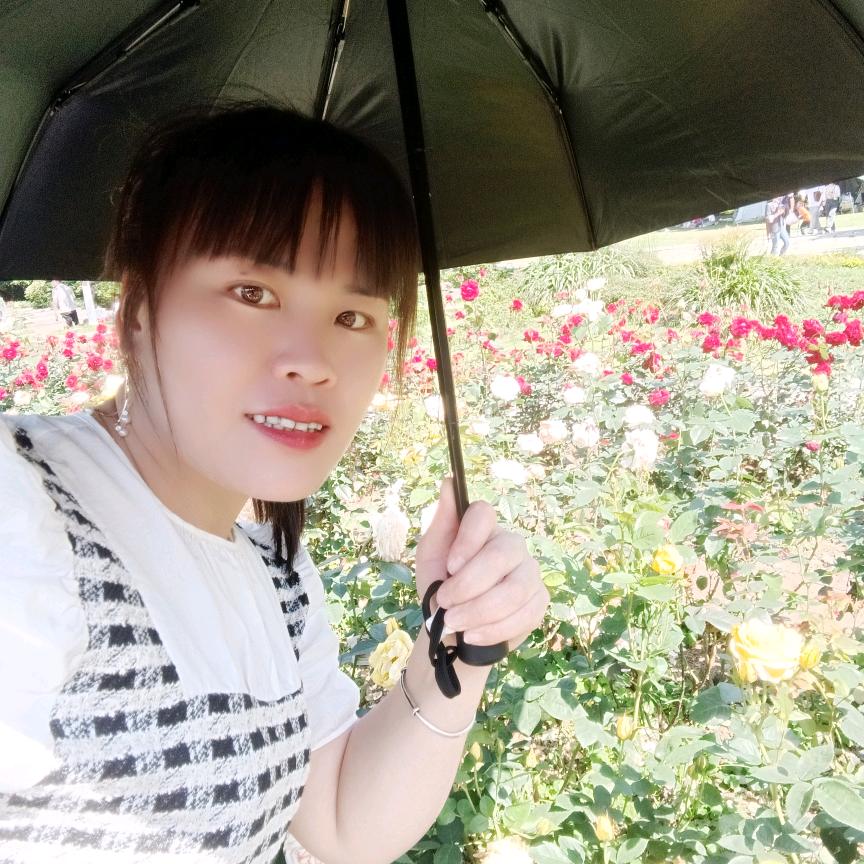 菊姐