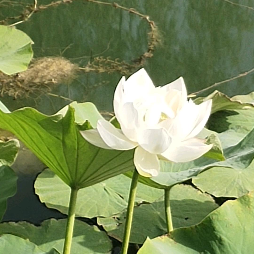 时刻陪伴你