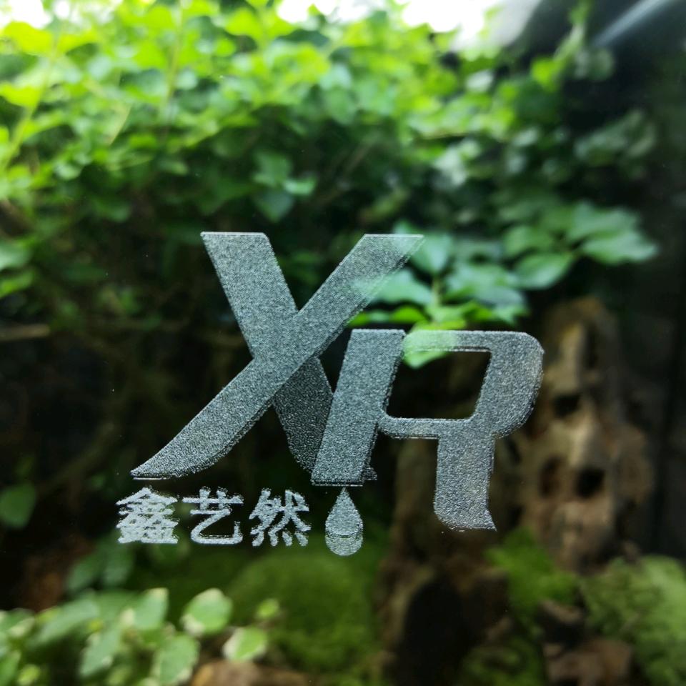 呼和浩特鑫艺然水景