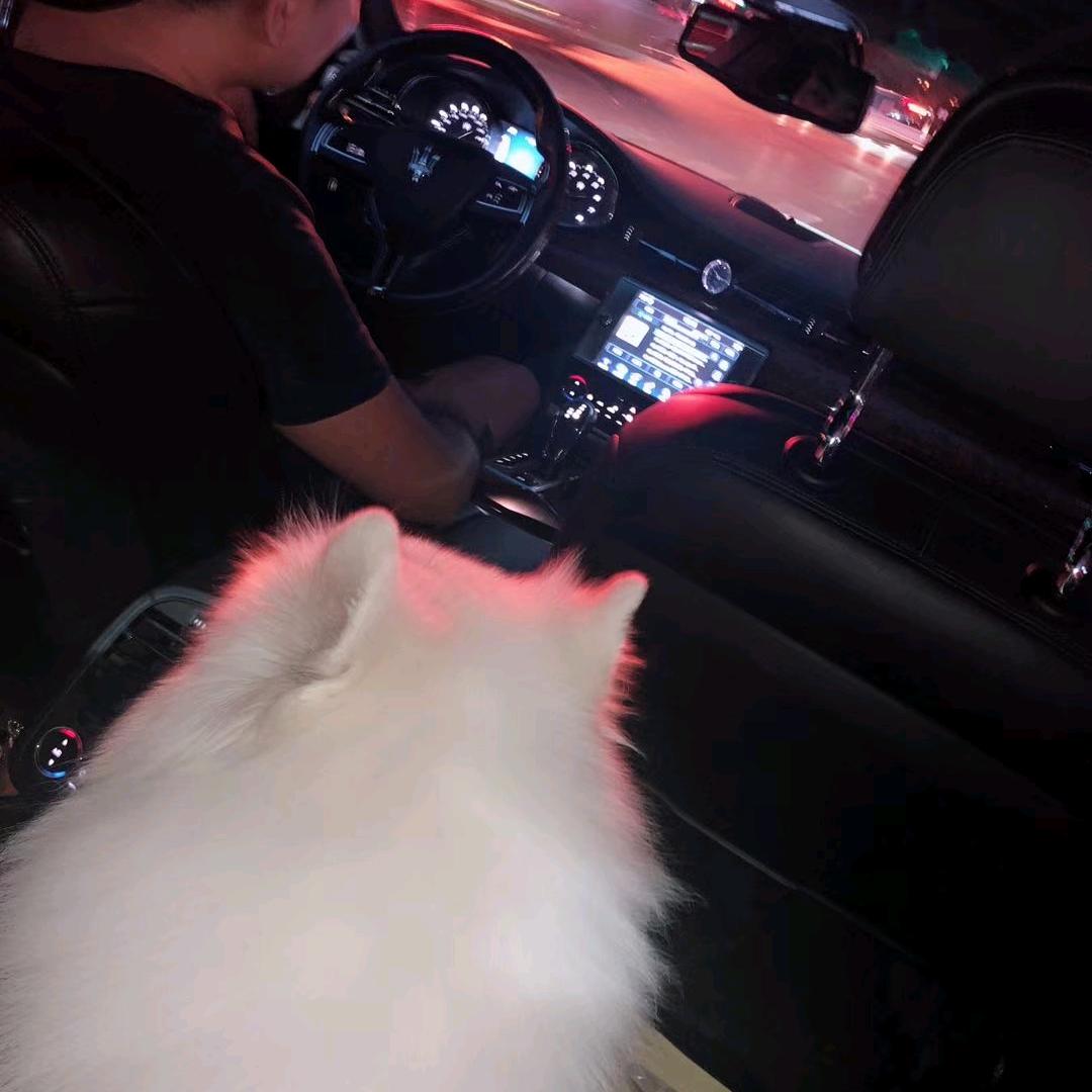王志鹏