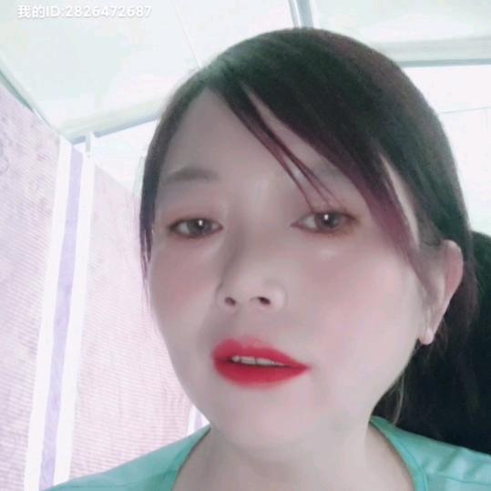 燕子798
