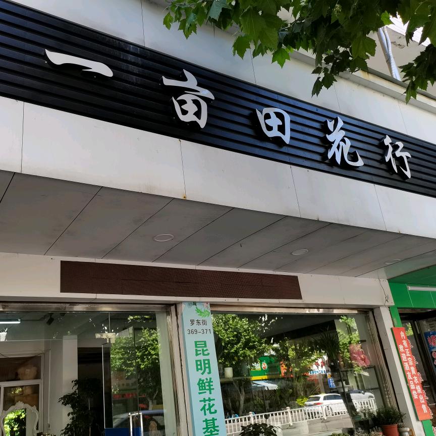 阿保(一亩田花行)