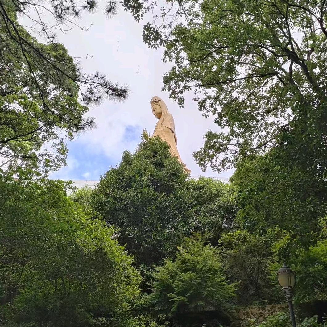 一直在路上✔️