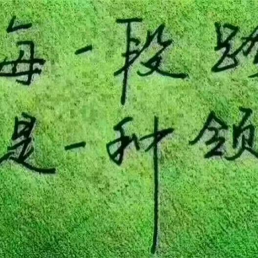 🎠一种领悟💗嘿嘿🦊