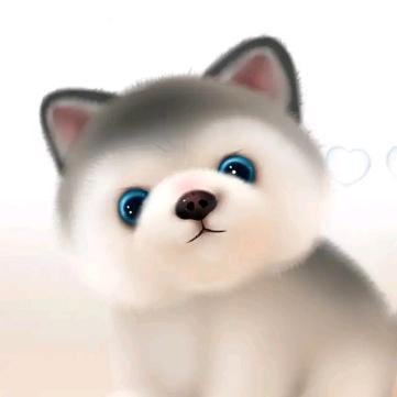：c
