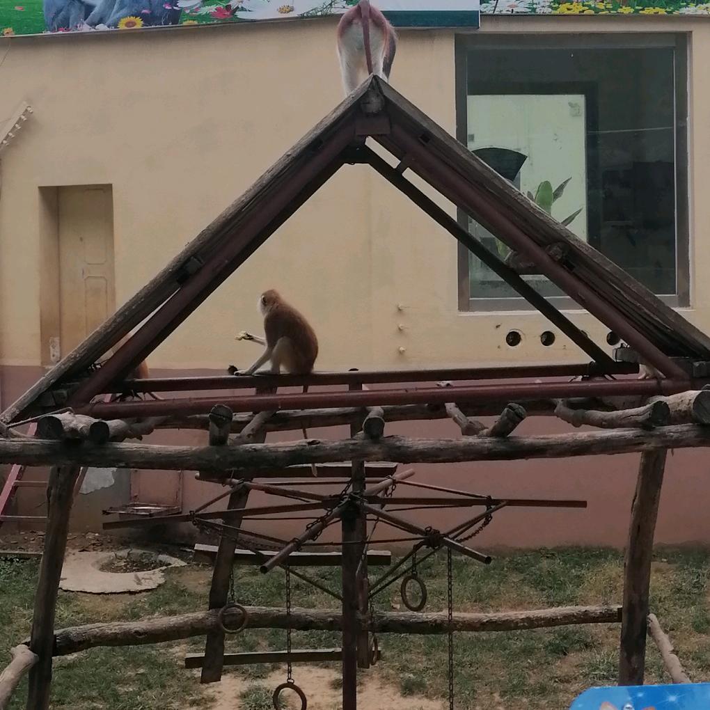 迷路时你就往前走