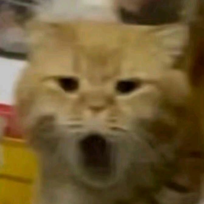 悠然vin~