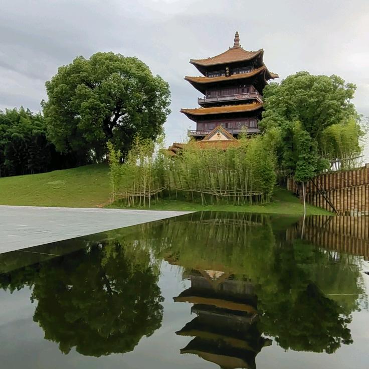 景德镇市菲乐旅游包车出行服务