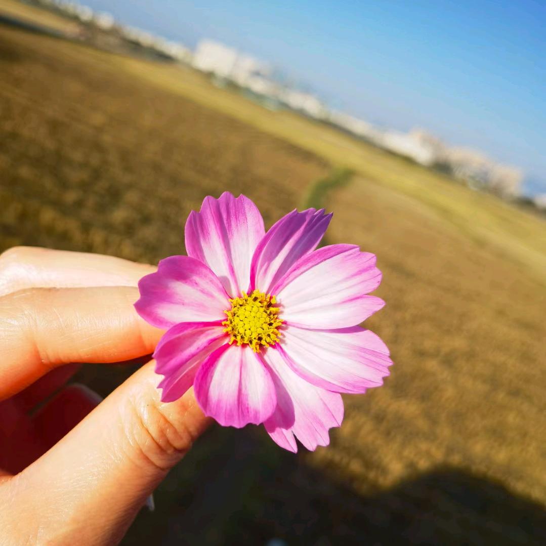 春暖花开幸福一家