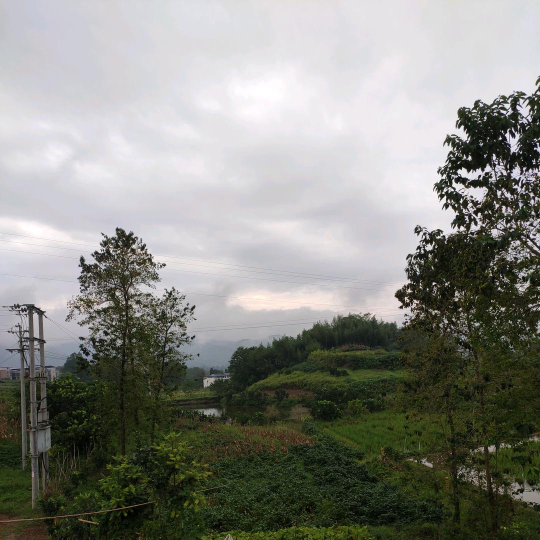 坚持不懈