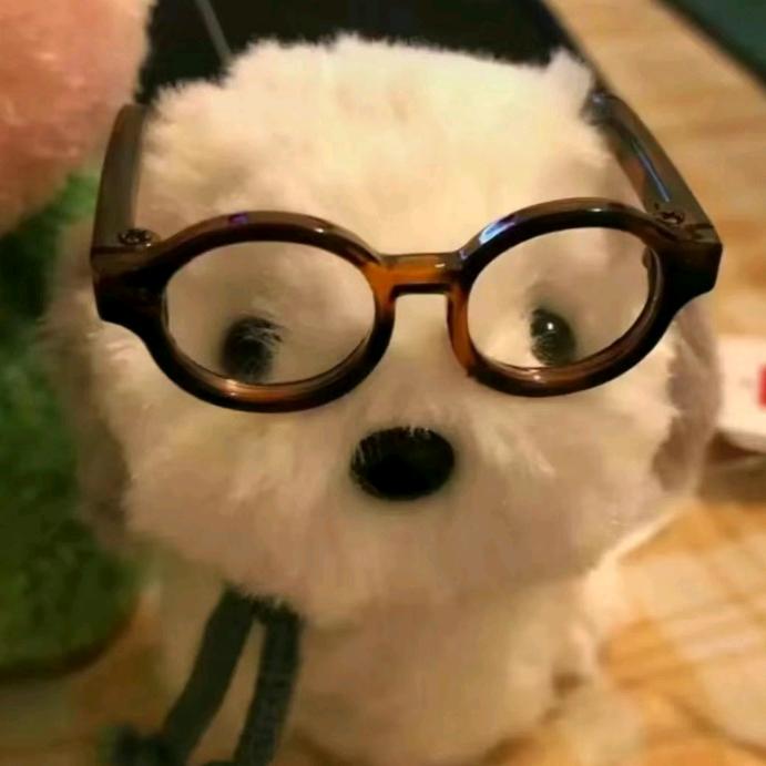 caTToiin