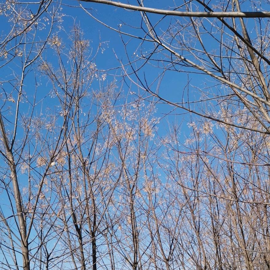 我的快乐你不懂🤷‍♂️